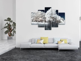 Obraz - Snehobiele stromy (150x105 cm)