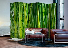 Paraván - Bamboo Forest II [Room Dividers] Veľkosť: 225x172, Verzia: Obojstranný