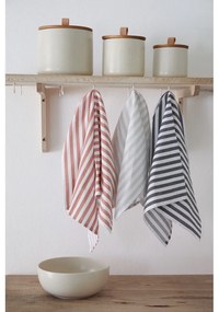 Bavlnené utierky v súprave 2 ks 50x70 cm Stripes – Casafina