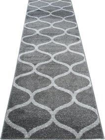 TA Koberec E665A TMAVOSIVÉ SARI BSF Rozmer: 100x500 cm