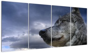 Obraz vlka