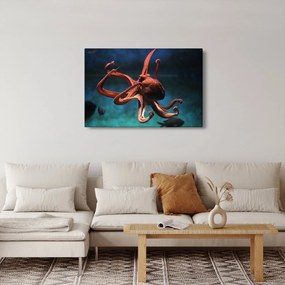 Obraz - Chobotnica (90x60 cm)