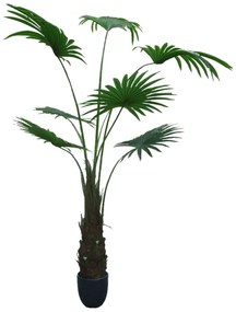 Artificial plant Washingtonia Robusta 180cm