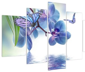 Obraz motýľa na kvetoch orchidee (150x105 cm)