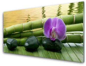 Obraz na skle Kvet kamene bambus príroda 140x70 cm