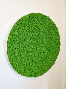 Machový obraz kruh v tenkom bielom ráme, Priemer machového obrazu ∅ 60cm