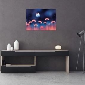 Obraz púpav s modrým motýľom (70x50 cm)