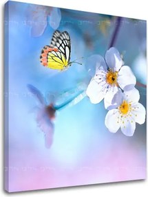 Obraz na stenu STROMY_035-12