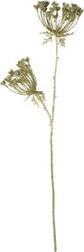 Zlatá dekoratívna kvetina Boľševník gold champagne - 85 cm