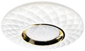 Stropné LED svietidlo Tokyo, 1x LED 24w, 3000-6000k, w/g, s ovládačom
