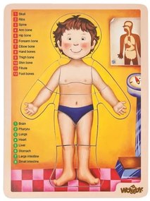 Woody Puzzle - ľudské telo AJ