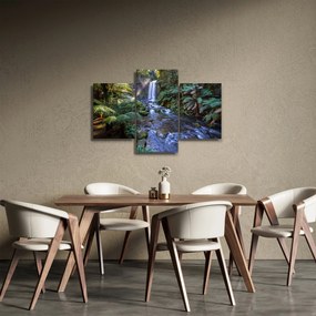 Obraz australského dažďového lesa (90x60 cm)