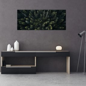 Obraz - Les (120x50 cm)