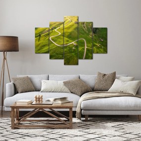 Obraz - Náhorná lúka (150x105 cm)