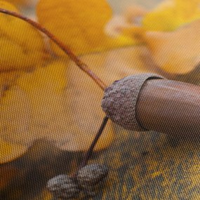 Obraz - Jesenné žalude (120x50 cm)