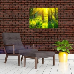 Sklenený obraz - Jarné prebúdzanie lesa (70x50 cm)