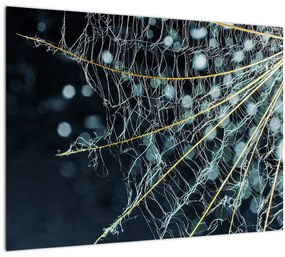 Sklenený obraz -Kvet s pavučinou (70x50 cm)
