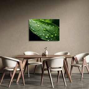 Sklenený obraz - List po daždi (70x50 cm)