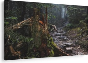 Obraz - V lese (90x60 cm)