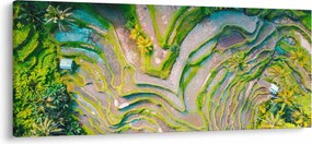 Obraz ryžových polí z vtáčej perspektívy (120x50 cm)