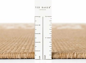 Ted Baker, Kusový koberec Ted Baker Haringey 106377 Natural White, 120x170, béžová, chodba / predsieň