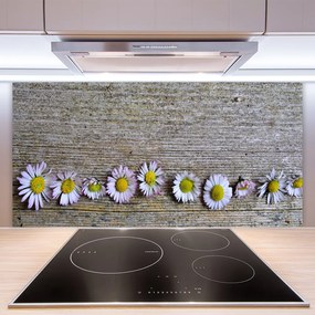 Sklenený obklad Do kuchyne Sedmokráska rastlina príroda 140x70 cm