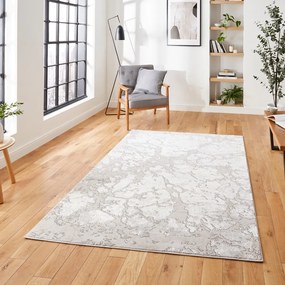 Sivý/béžový koberec 220x160 cm Apollo - Think Rugs