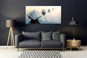 Obraz plexi Vodné lilie biely lekno 120x60 cm