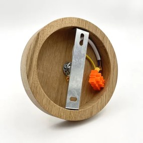 Brilagi - LED  Prisadený luster ANTHONY 1xE14/60W/230V dub/béžová