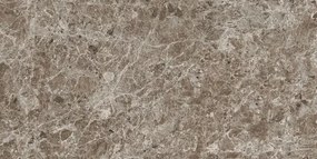 Dlažba Porcelaingres Estro brown 60x120 cm mat X126474X8