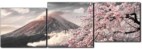 Obraz na plátne - Hora Fuji a čerešňové kvety na jar - panoráma 5266QE (150x50 cm)