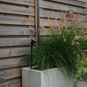 Bodové svetlo na kolík čierne nastaviteľné IP44 vrátane kábla a zástrčky - Basic