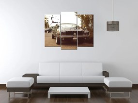 Gario Obraz s hodinami Ford Mustang, 55laney69 - 3 dielny Rozmery: 90 x 70 cm
