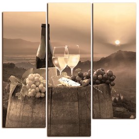 Obraz na plátne - Fľaša vína na vinici - štvorec 3152FD (75x75 cm)