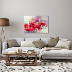 Obraz vlčích makov (70x50 cm)