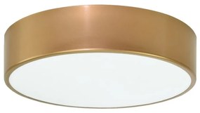 TEMAR Prisadené nástenné / stropné osvetlenie CLEO, 2xE27, 40W, 30cm, okrúhle, zlaté
