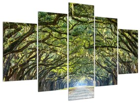 Obraz stromovej aleje (150x105 cm)