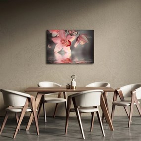 Obraz - Kvety a motýľ (70x50 cm)
