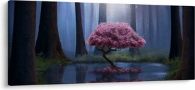 Obraz - Magická noc (120x50 cm)