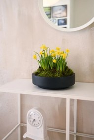 Misa na kvety ESCADA LOW, sklolaminát, priemer 30 cm, antracit