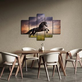 Obraz - Kone (150x105 cm)