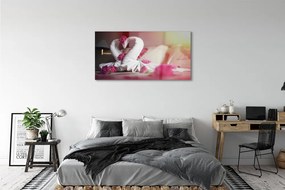 Obraz plexi Uteráky labute kvety 125x50 cm