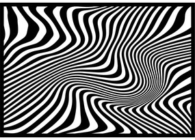 Dekoračný obraz na stenu zebra  I SENTOP PR0328 PREGLEJKA