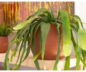 Keramický ručne vyrobený kvetináč ø 16 cm Aura – Artevasi