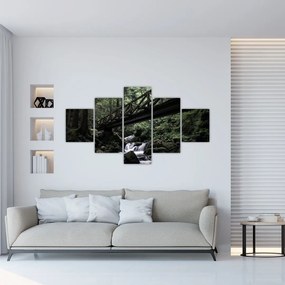 Obraz z čierneho lesa (125x70 cm), 40 ďalších rozmerov
