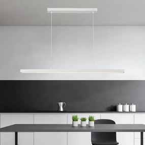 Brilagi - LED luster na lanku PAXIS LED/30W/230V 120 cm biely