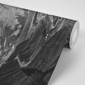 Samolepiaca fototapeta čiernobiela panoráma hôr