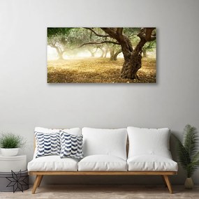 Obraz na plátne Strom tráva príroda 120x60 cm