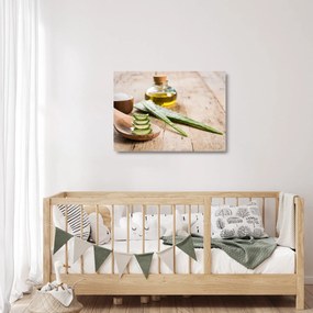 Sklenený obraz - Aloe vera (70x50 cm)