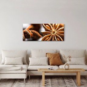 Obraz - Aníz (120x50 cm)
